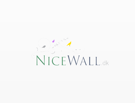 Nicewall rabatkode