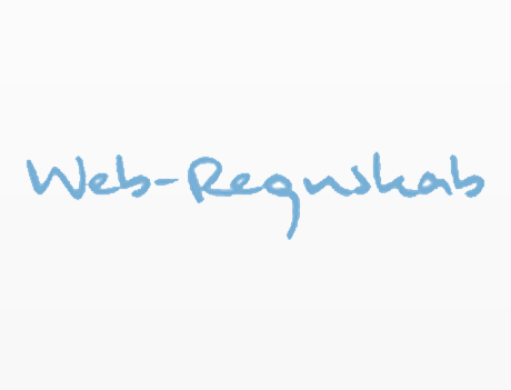 Web-regnskab
